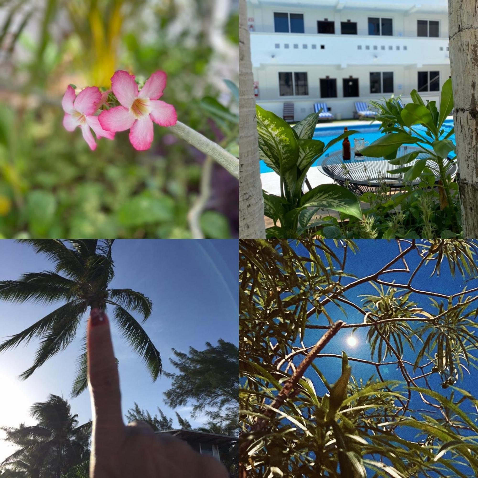 Hotel Balxiba Playa del Carmen Eksteriør bilde