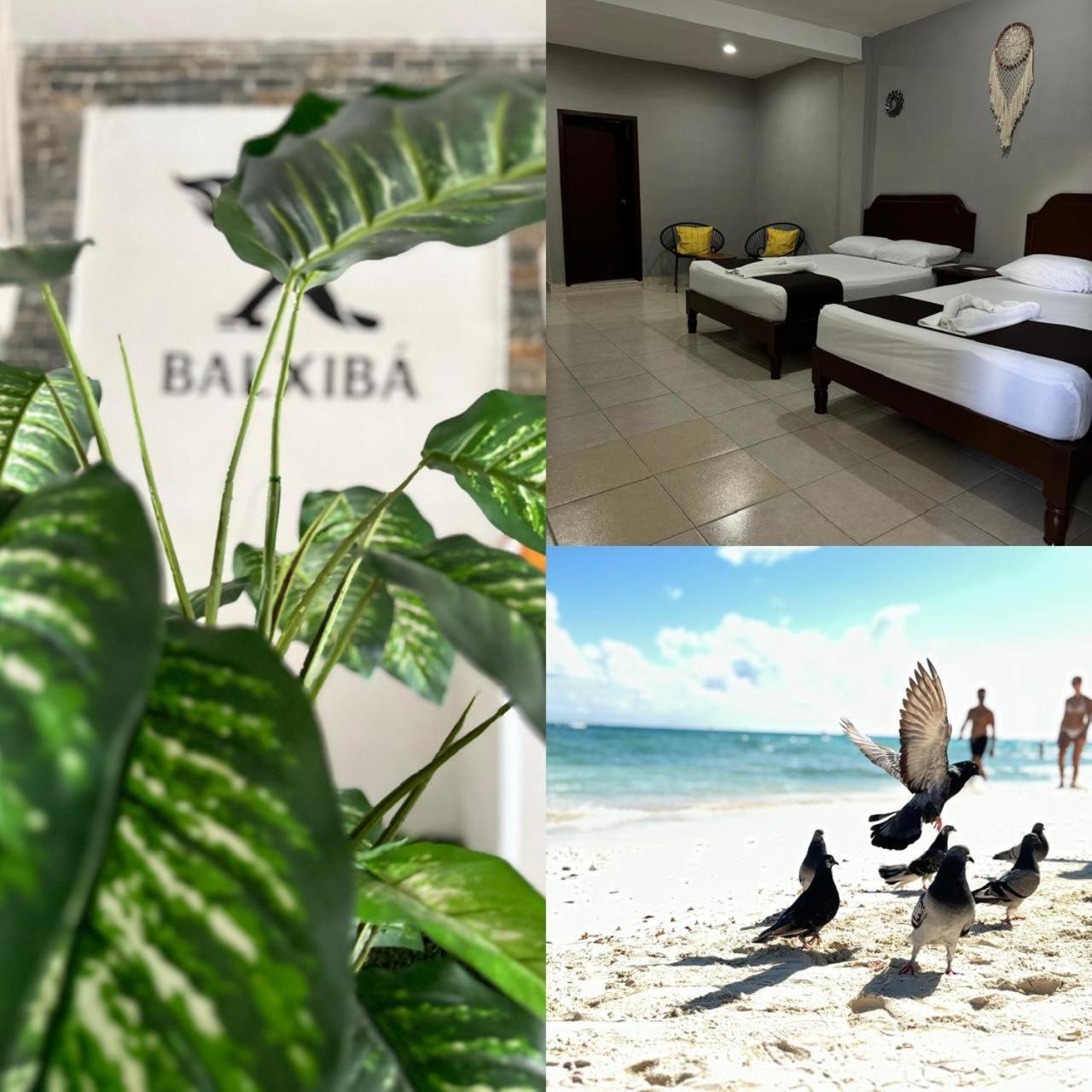 Hotel Balxiba Playa del Carmen Eksteriør bilde